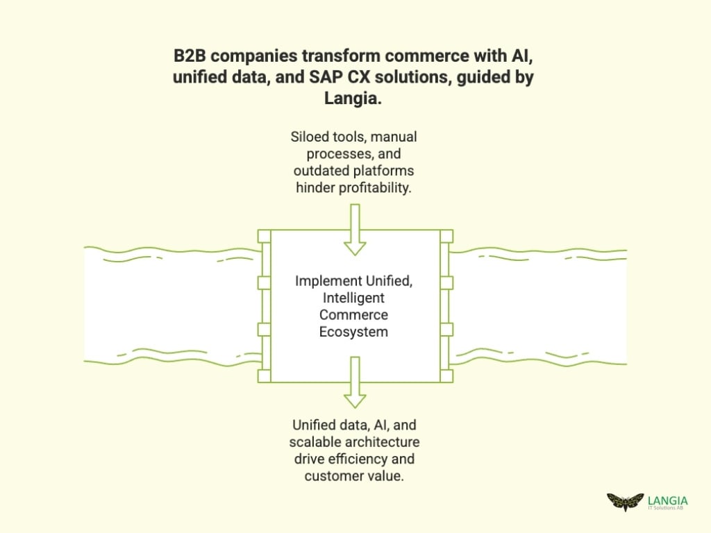 B2B transform with Langia