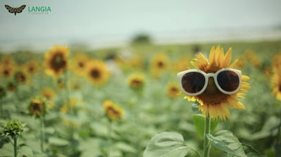 How SAP CX Keeps Your Business Running Smoothly During Summer Vacations