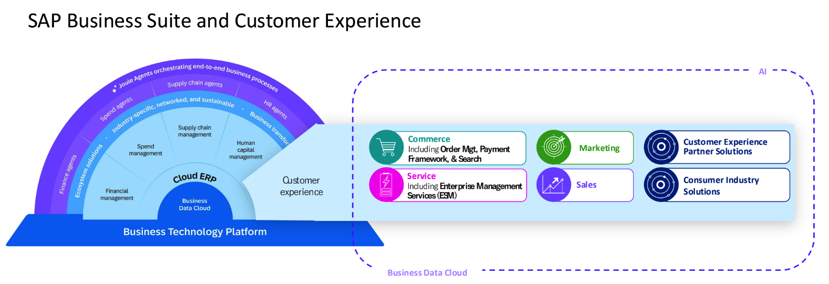 SAP Business Suite and Customer Experience